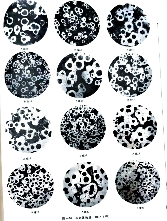 L'influence de la morphologie du graphite dans la fonte sur les performances